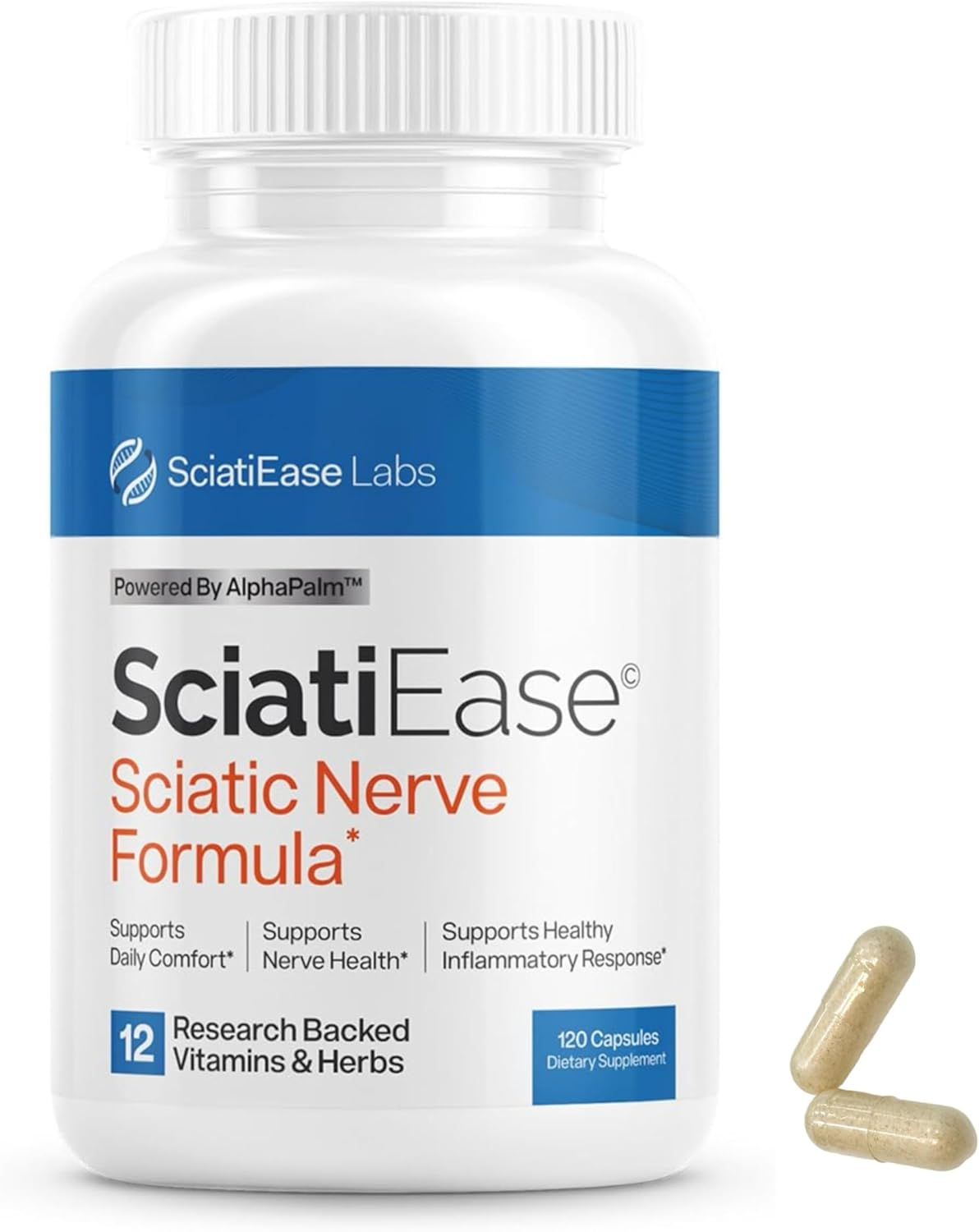 Sciatic Nerve Support Supplement 120 Capsules– Advanced Nerve Health Formula with AlphaPalm, Pea, Vitamin B Complex & 300mg Alpha Lipoic Acid – Promotes Nerve Health & Vitality(Pack of 1)