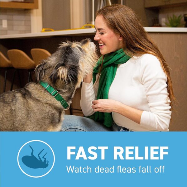 Capstar Fast-Acting Oral Flea Treatment for Dogs 2-25 lbs, Vet-Recommended Medication Tablets Start Killing in 30 Minutes, 6 Doses - Image 4