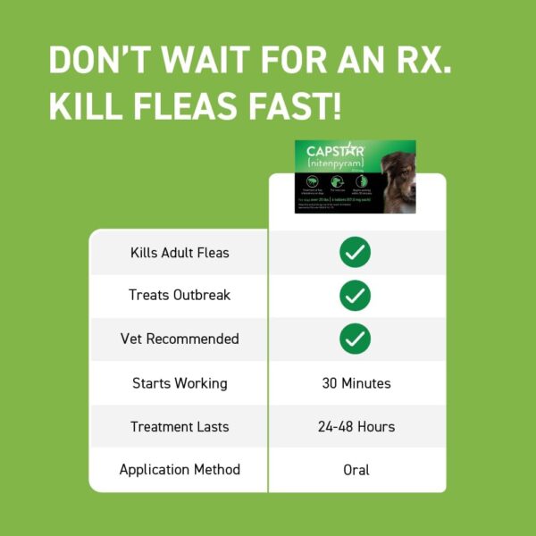 Capstar (nitenpyram) for Dogs, Fast-Acting Oral Flea Treatment for Dogs over 25+ lbs, Vet-Recommended Flea Medication Tablets Start Killing Fleas in 30 Minutes, 6 Doses - Image 2