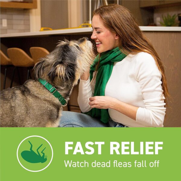 Capstar (nitenpyram) for Dogs, Fast-Acting Oral Flea Treatment for Dogs over 25+ lbs, Vet-Recommended Flea Medication Tablets Start Killing Fleas in 30 Minutes, 6 Doses - Image 3