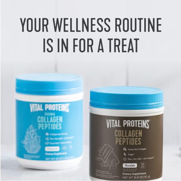 Vital Proteins Chocolate Collagen Powder Supplement (Type I, III) for Skin Hair Nail Joint - Hydrolyzed Collagen - Dairy and Gluten Free - 27g per Serving - Chocolate Flavor, 26.8 oz Canister - Image 4