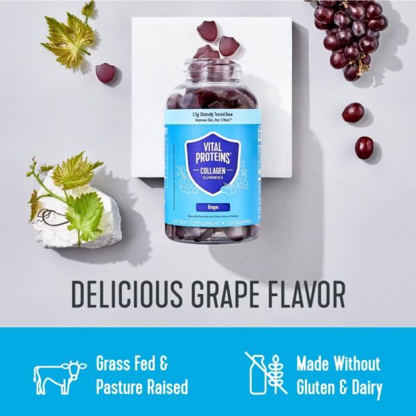Vital Proteins Collagen Gummies, 2.5g of Clinically-Tested Collagen for Hair, Skin, Nails & Wrinkles, 120 ct Bottle, Pack of 2, Grape Flavor - Image 3