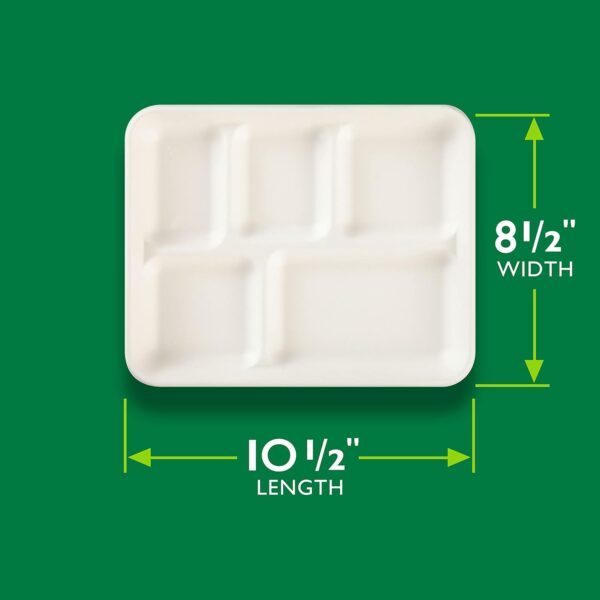 Hefty ECOSAVE 100% Compostable 5-Compartment Paper Trays, 12 Count - Image 3