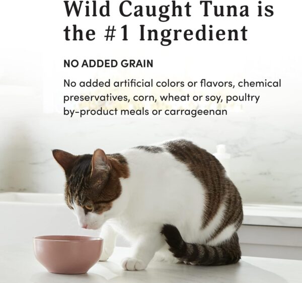 Amazon Brand - Kitzy High Protein, Grain Free Wet Cat Food, Wild Caught Tuna in Gravy, 3 oz (Pack of 24) - Image 4