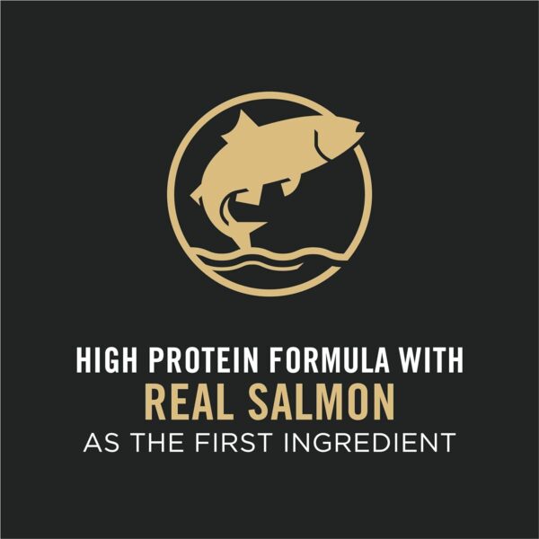 Purina Pro Plan High Energy, High Protein Dog Food, SPORT 30/20 Salmon & Rice Formula - 33 lb. Bag - Image 4