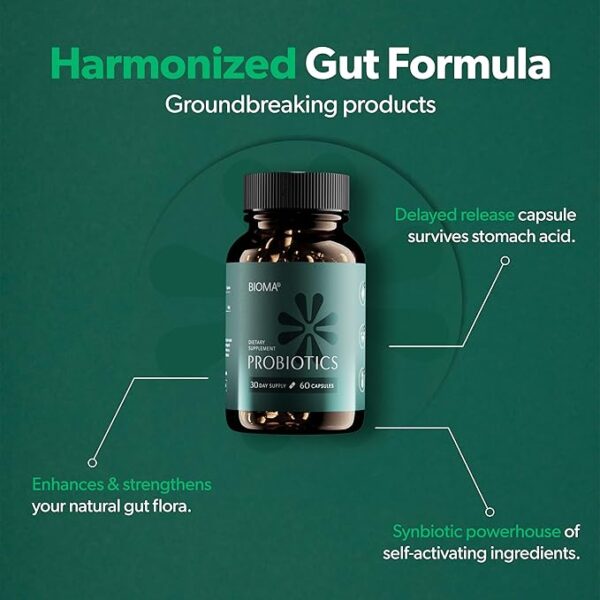 BIOMA Probiotics for Weight Management & Digestive Health, 3 in 1 Gut Health Probiotics and Prebiotics/Postbiotics, Slow Release Synbiotic Probiotic Capsules for Gut Health Multi Enzyme (60 Caps) - Image 3
