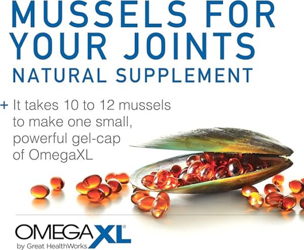 OmegaXL Joint Support Supplement - Natural Muscle Support, Green Lipped Mussel Oil, Soft Gel Pills, Drug-Free, 300 Count - Image 5